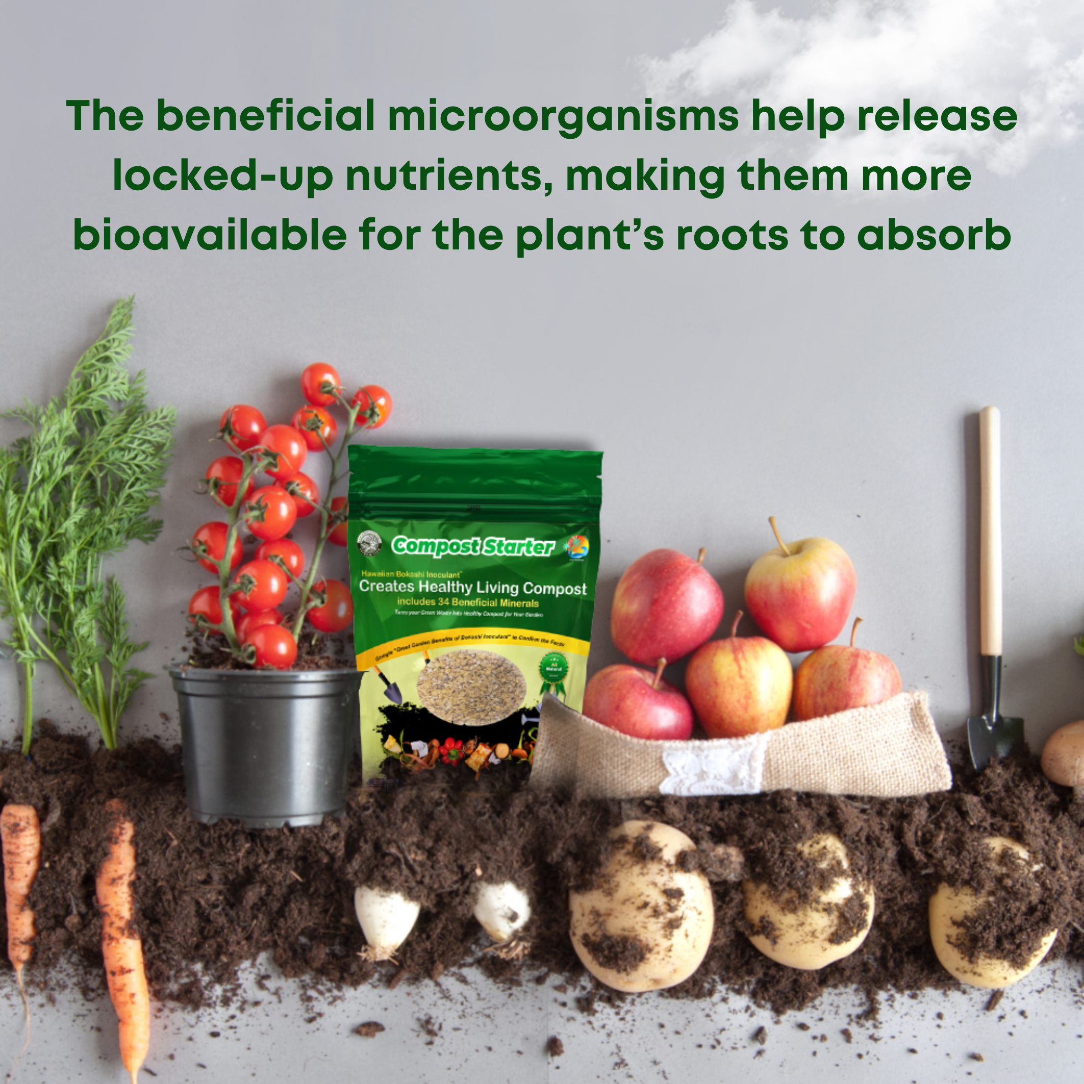 SolutionsHOCL - Wholesale Fertiliser - Hawaiian Bokashi Compost Starter with 34 Naturally Occurring Minerals5