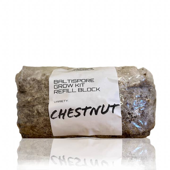 BaltiSpore LLC - Wholesale Plant seeds - Bury & Grow Block3