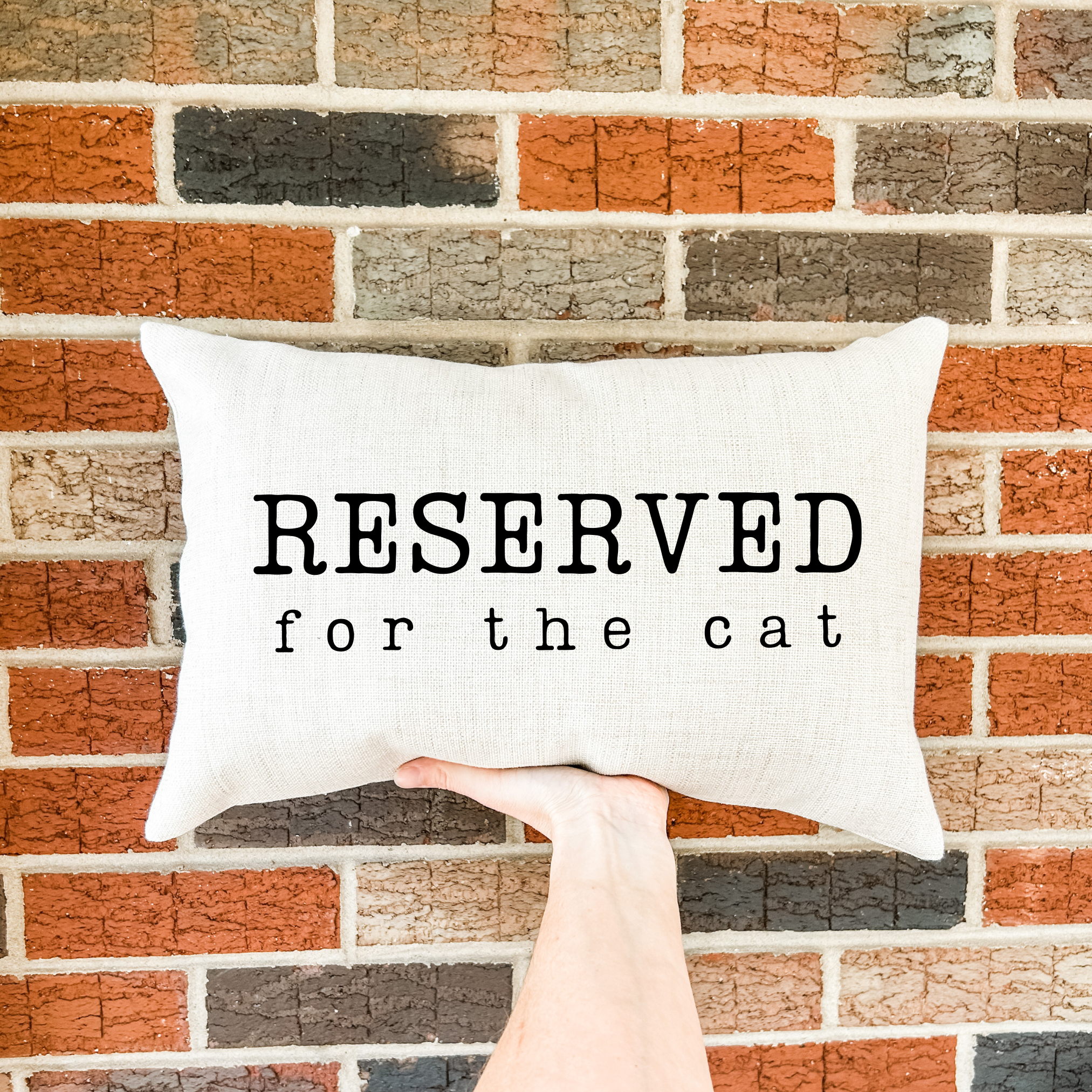 The Rosie Market - Wholesale Throw Pillow Cover - Reserved for the Cat Pillow Cover3