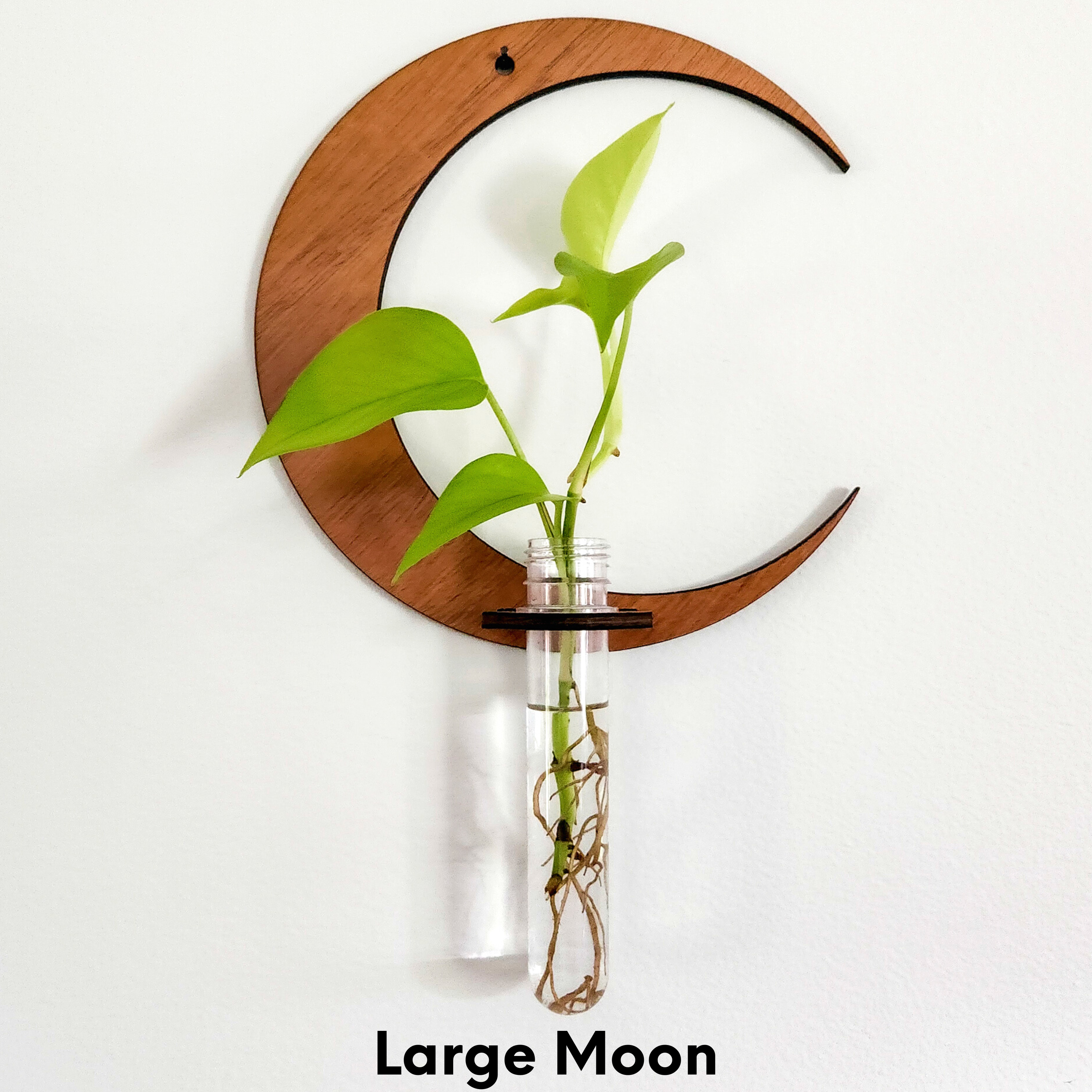 Leaf & Node - Wholesale Hanging Planter - Wall Hanging Propagation Station - Moon Test Tube Holder2