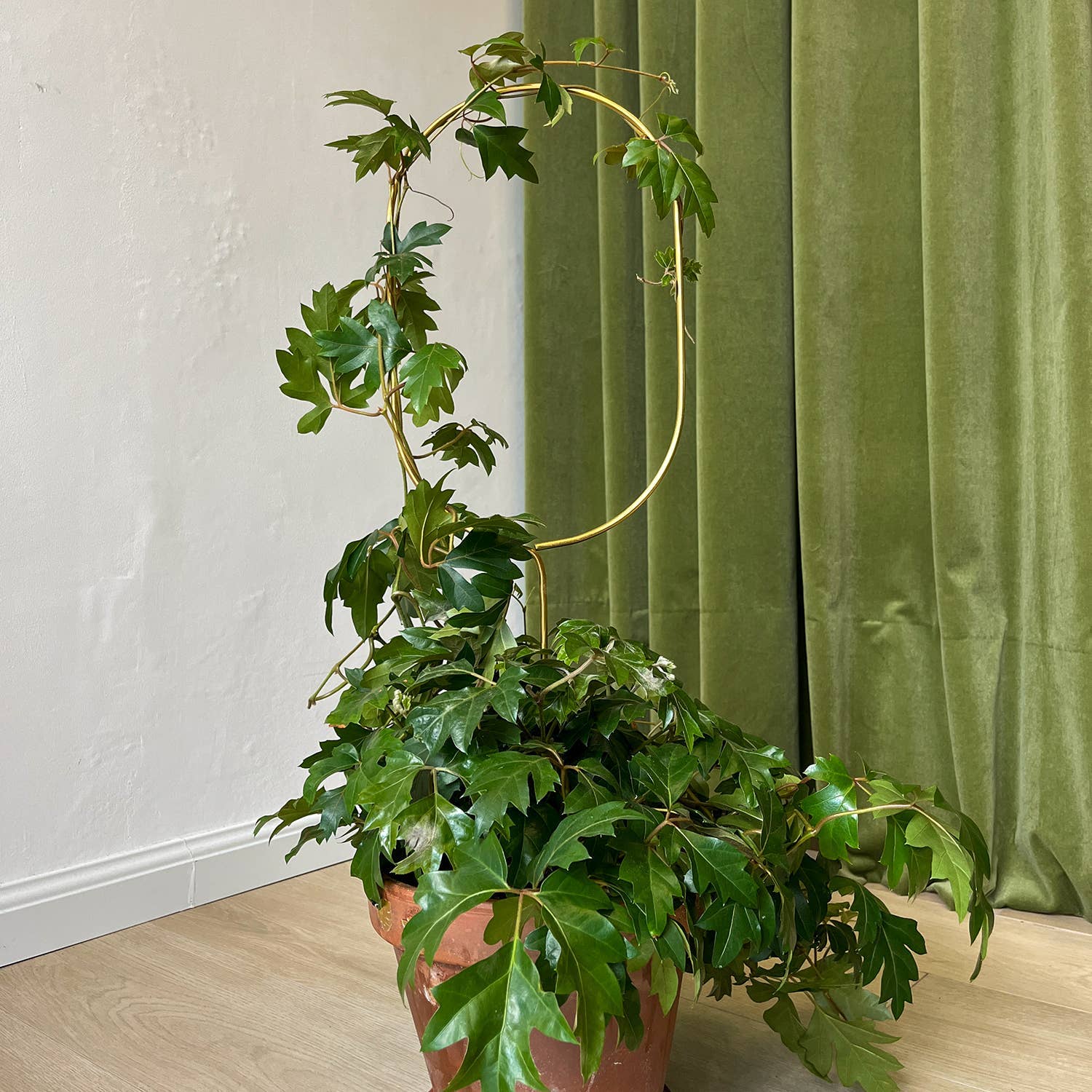 Botanopia USA - gifts , decor and cards for plant lovers - Wholesale Garden/Lawn Stake - Golden plant stake from metal – Arch3