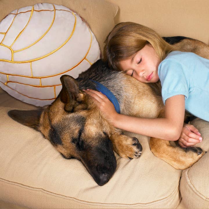 Abound Lifestyle - Wholesale Throw/Decorative Pillow - Concha Bread Decorative Throw Pillow23