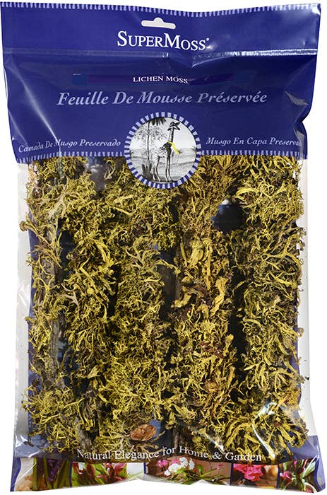 SuperMoss - Wholesale Artificial Plant - Branched Wolfen Lichen1