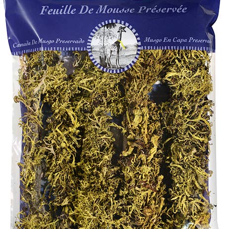 SuperMoss - Wholesale Artificial Plant - Branched Wolfen Lichen1
