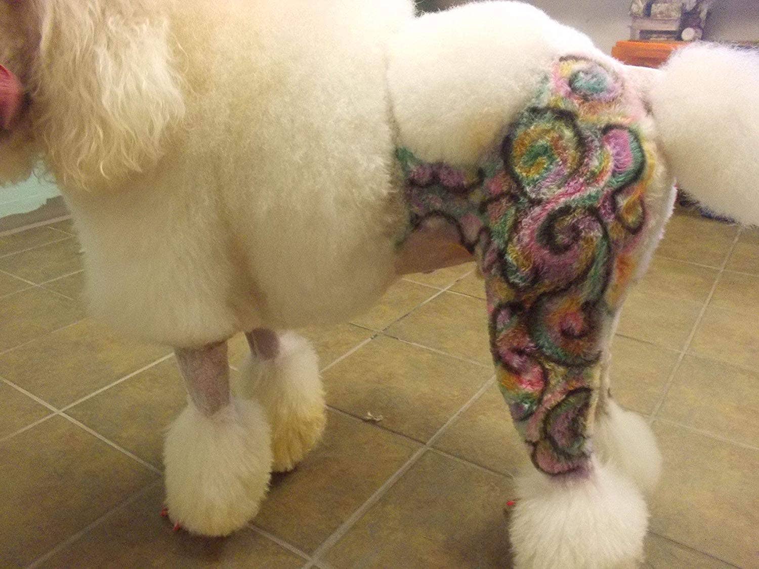 Warren London Dog Products - Wholesale Pet Grooming Aid - Dog - Critter Color - Temporary Fur Coloring - 7 Color Options15