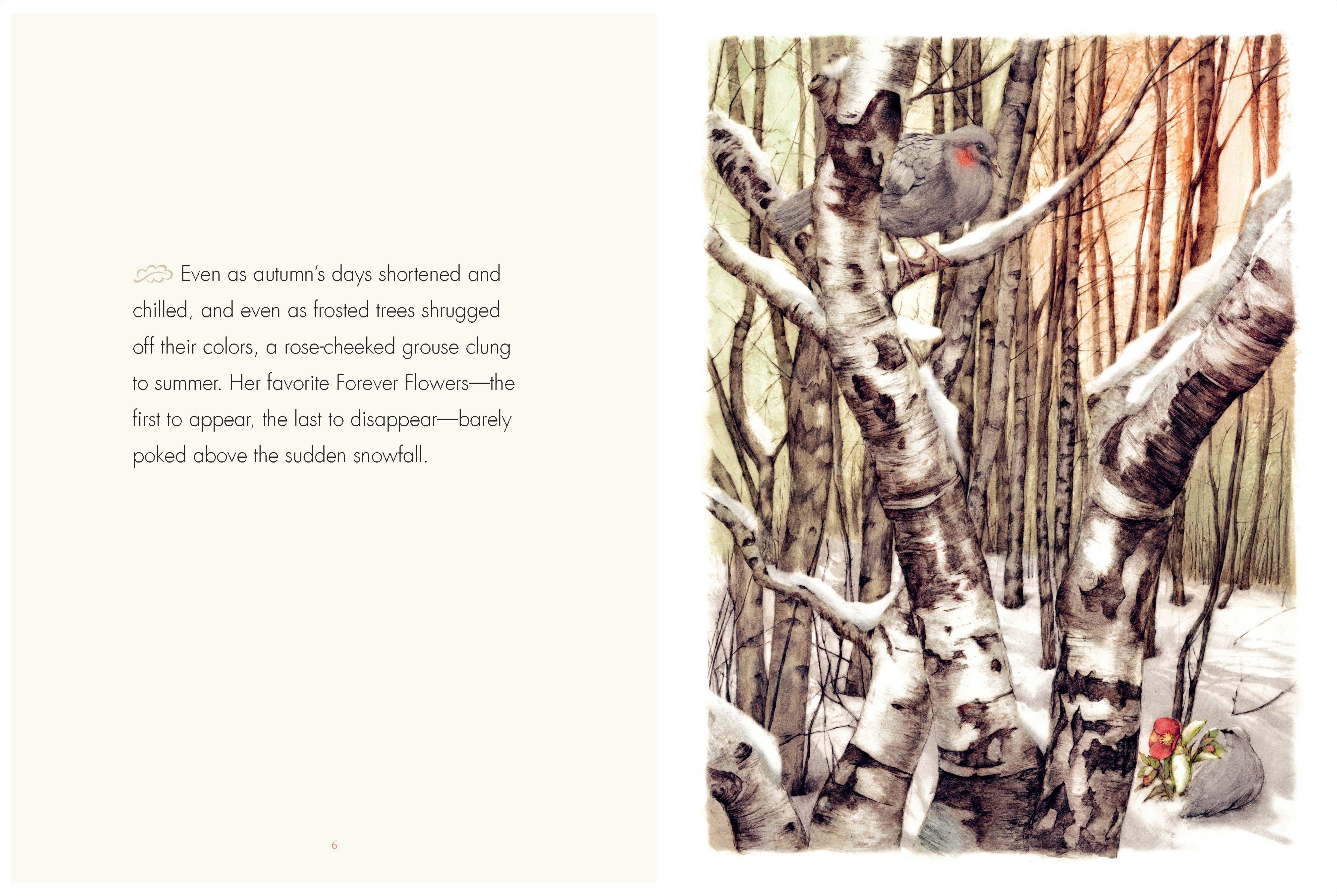 The Creative Company – wholesale Pre-school book (3–5) – Forever Flowers, The1