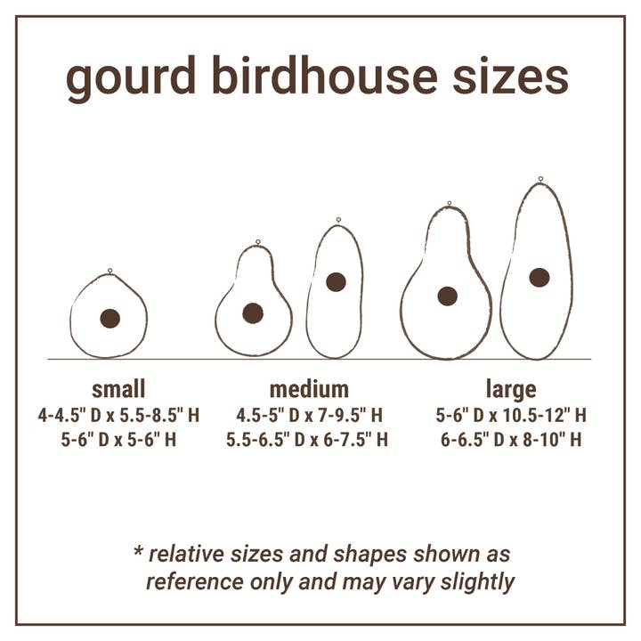Lucuma Designs - Wholesale Bird House - Birds of North America - Gourd Birdhouse - Artist Made7