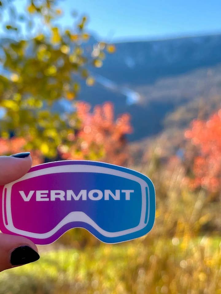 Vermont Goggle Sticker | Hot Pink + Teal, Weatherproof for wholesale by Lex Vize Creative Co.