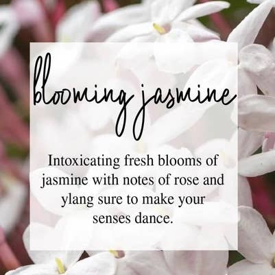 Timber Oak Candles - Wholesale Jar/Filled Candle - 8oz | 100% Pure Soy Mason Jar Candles | 40+ Scents3