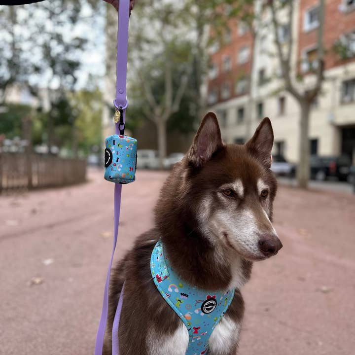 Wildbite Amantes Peludos - Wholesale Pet Leash - Dog - Violet Waterproof Strap4