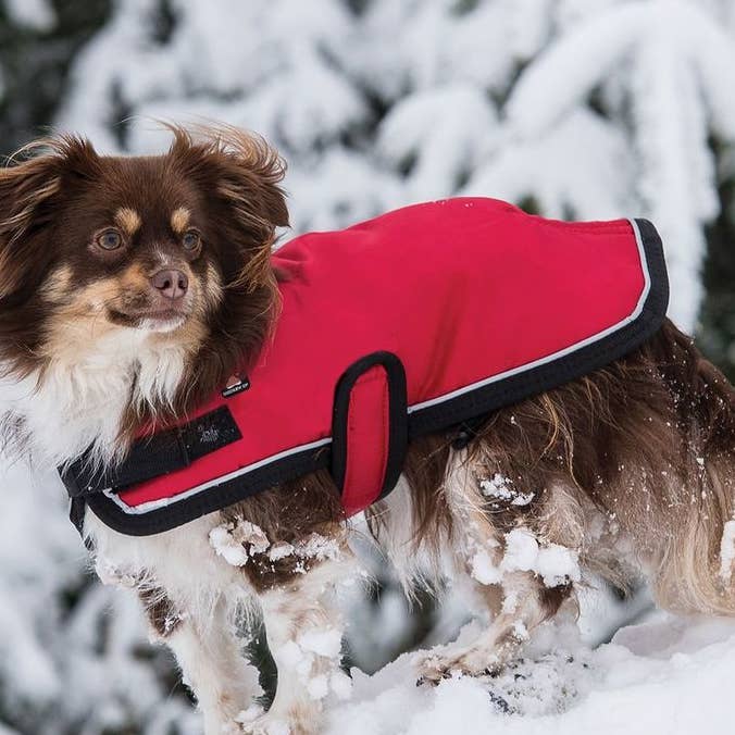 Shedrow K9 Tundra Dog Coat - Red for wholesale by Shedrow K9