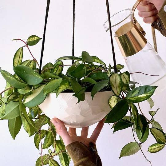 Niik Creative Co. - Wholesale Hanging Planter - Hanging Planter - Medium Handmade Porcelain Plant Hanger