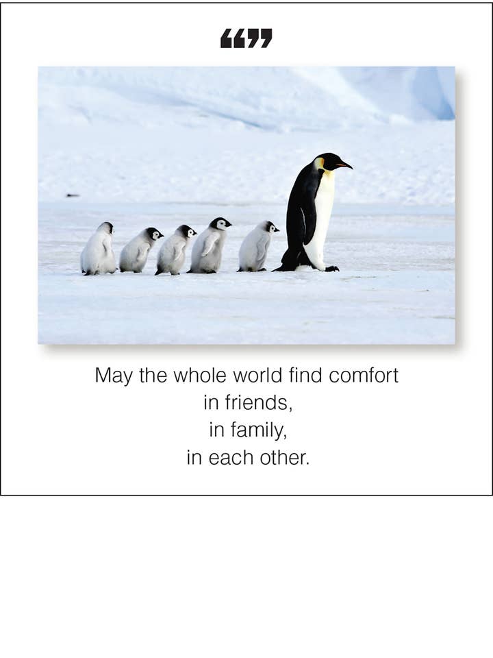 Må hela världen hitta komfort Magnet för wholesale av The Borealis Press Inc