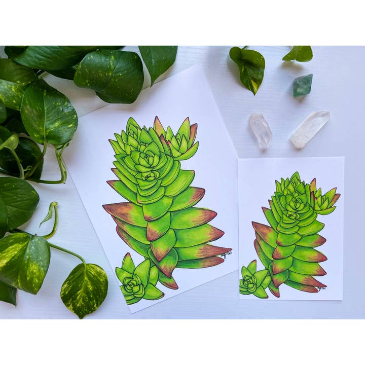 Impressão de arte suculenta de arquivo - Red Pagoda por atacado de AEJ.CREATE