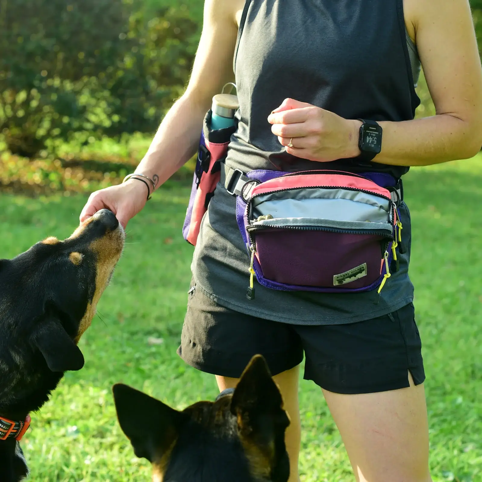 Sipsey Wilder - Wholesale Belt Bag - Women's - Puppy Party Rover Hip Pack 2.0   11