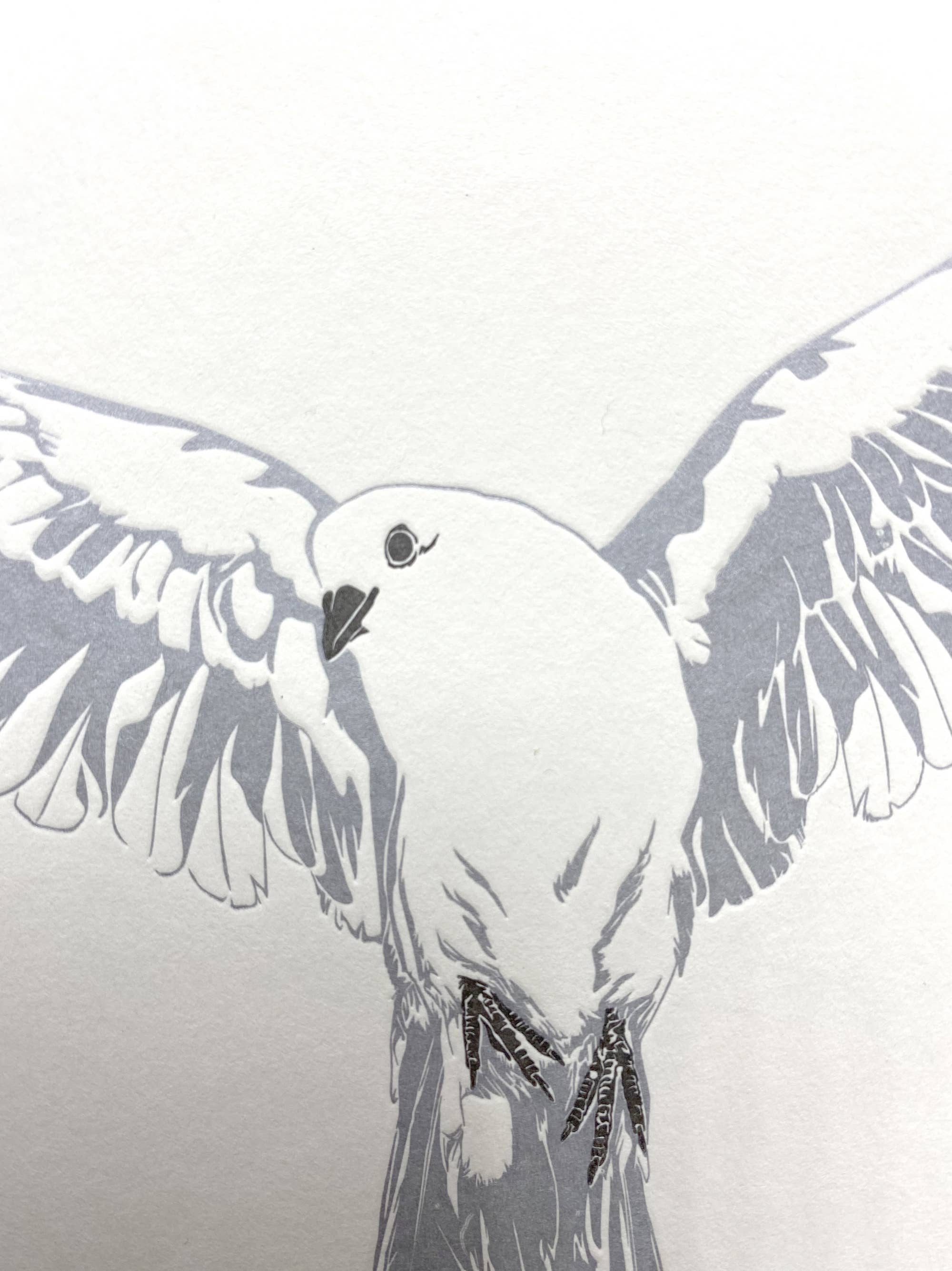 Penguin Ink – wholesale Sympathy card – Dove letterpress Card1