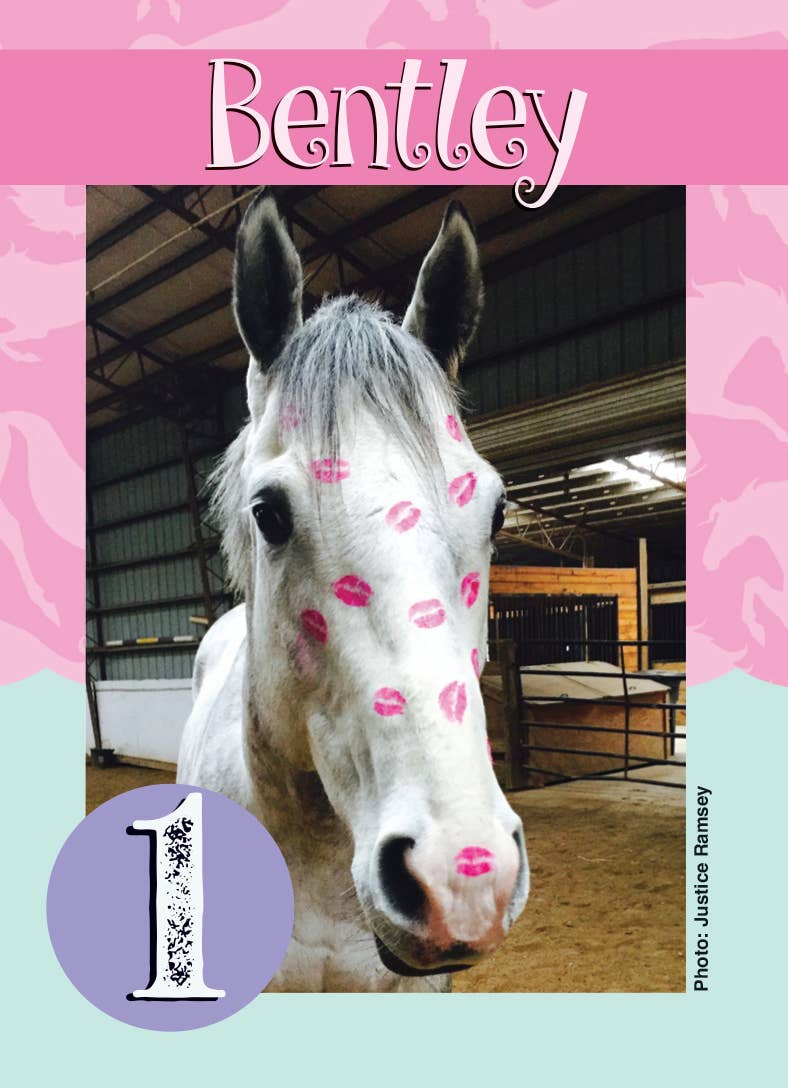 Horse Hollow Press | Pretty Snarky Equestrian Cards|Stickers - Wholesale Card Game - Fun Horse Go Graze Card Game for Kids & Families –Gift Ready6