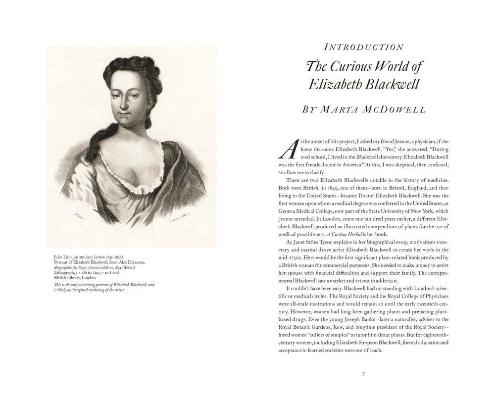 W. W. Norton - Wholesale Nature & Outdoors - A Curious Herbal: Elizabeth Blackwell's Pioneering3