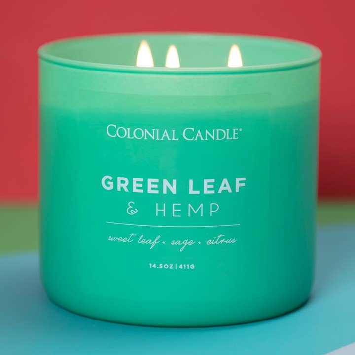 Green Leaf & Hemp Scented Jar Candle, Soy Blend Wax, 14.5oz for wholesale by MVP Group International INC