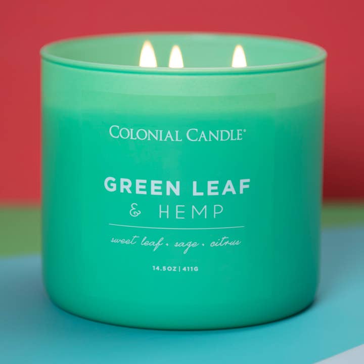 Green Leaf & Hemp Scented Jar Candle, Soy Blend Wax, 14.5oz for wholesale by MVP Group International INC