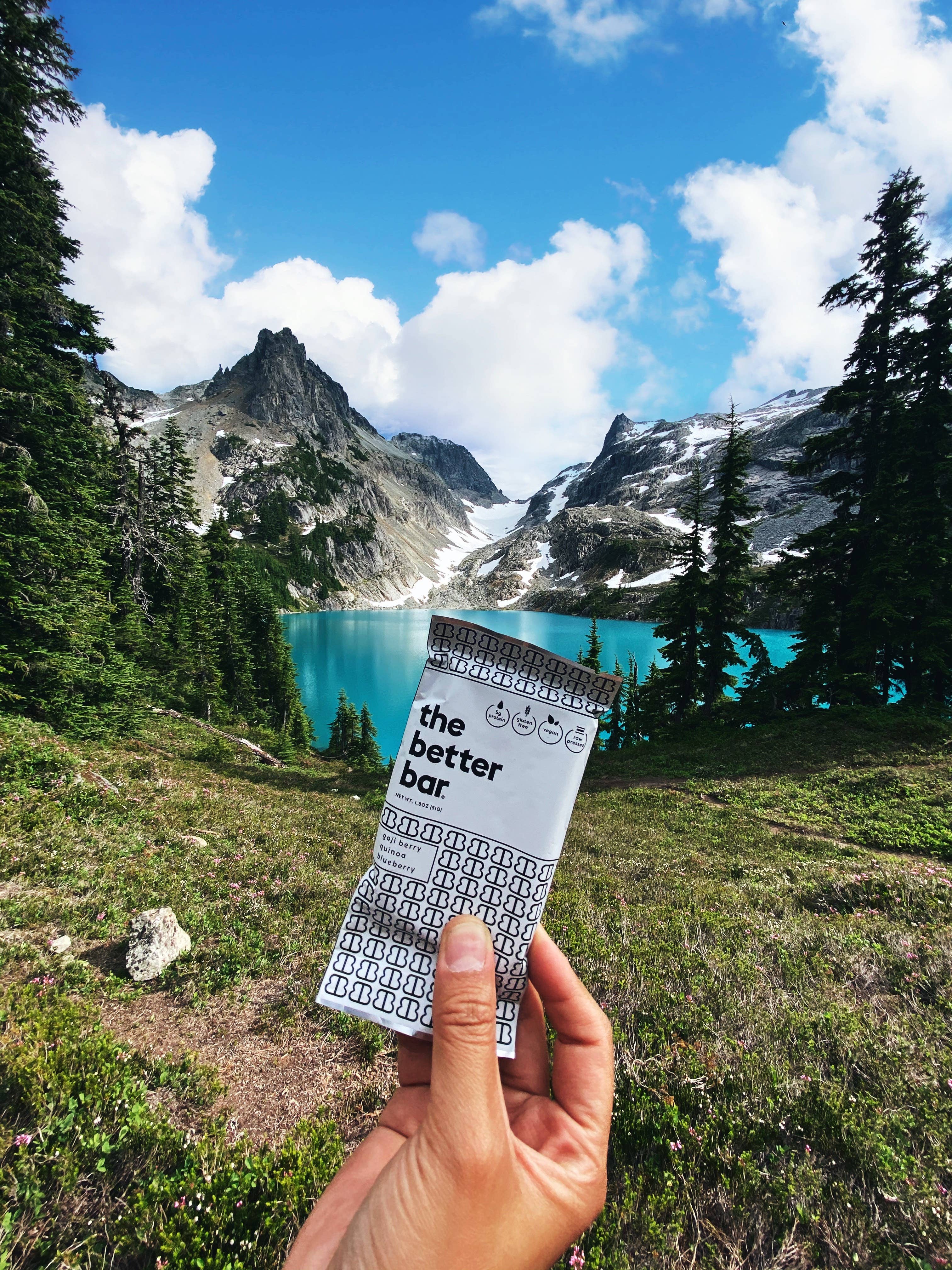 The Better Bar - Wholesale Snack Bar - The OG Goji Better Bar5