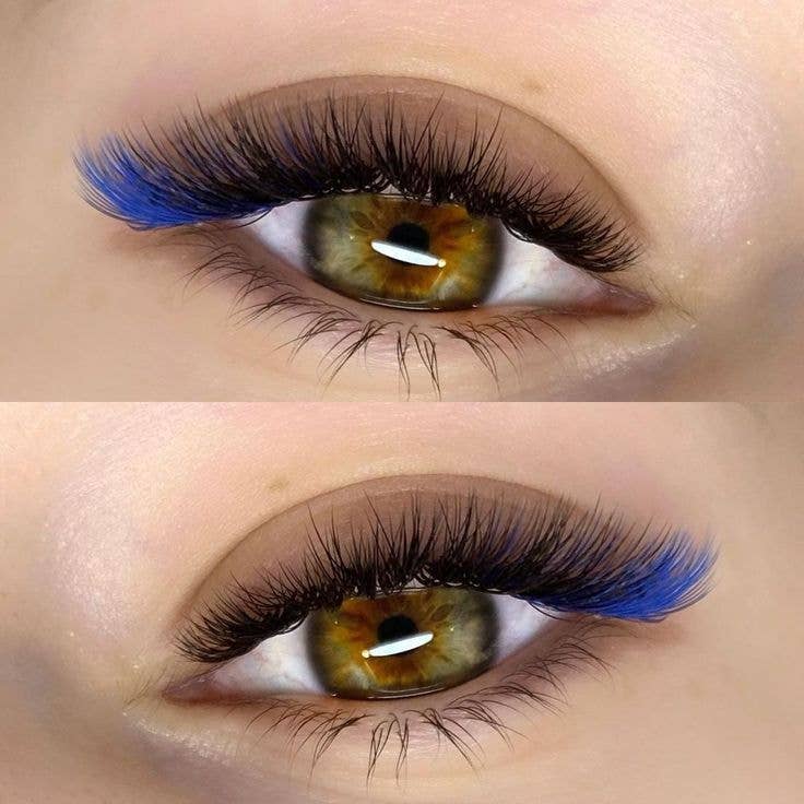 Eyesy Lash - Wholesale False/Fake Eyelashes - BLUE Premade Fans - Color Promade Fans 3D-10D - C, D, M, L3