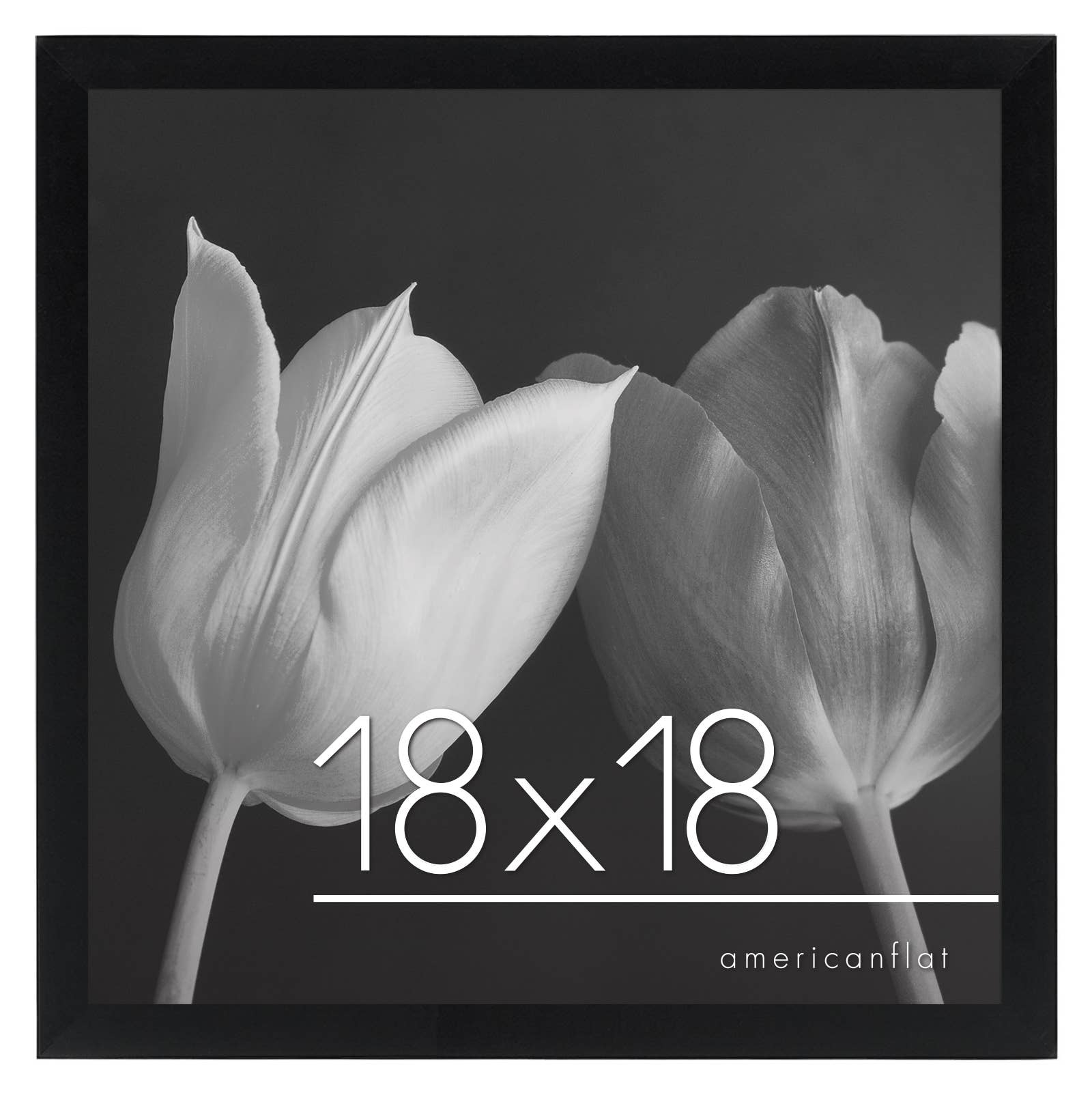 Americanflat - Wholesale Picture Frame - Americanflat Poster Frame with Wide Molding140