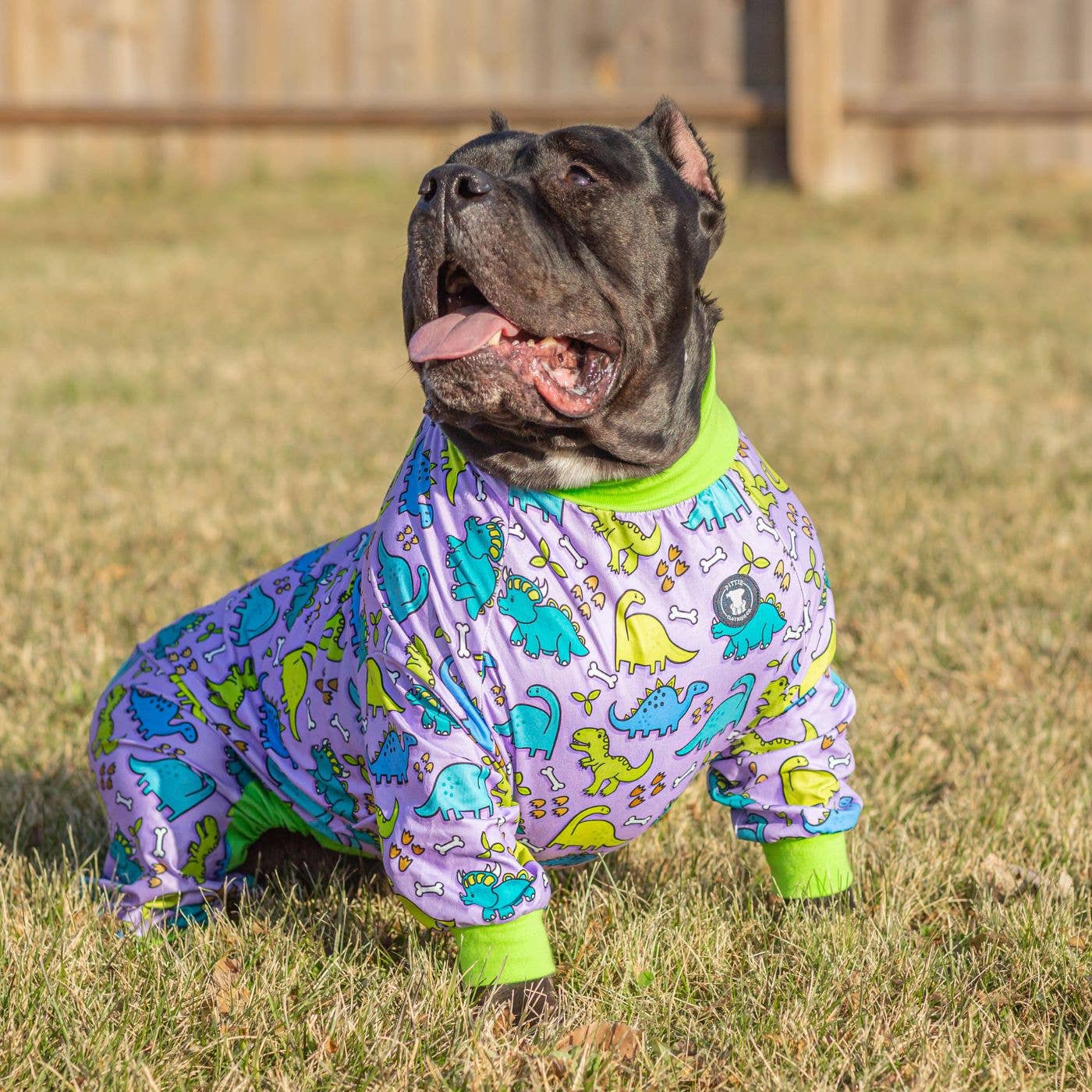 Pittie Clothing Co. - Wholesale Pet Pajamas - Dog - Purple 'Lazy Bones' Pit bull Pajamas0