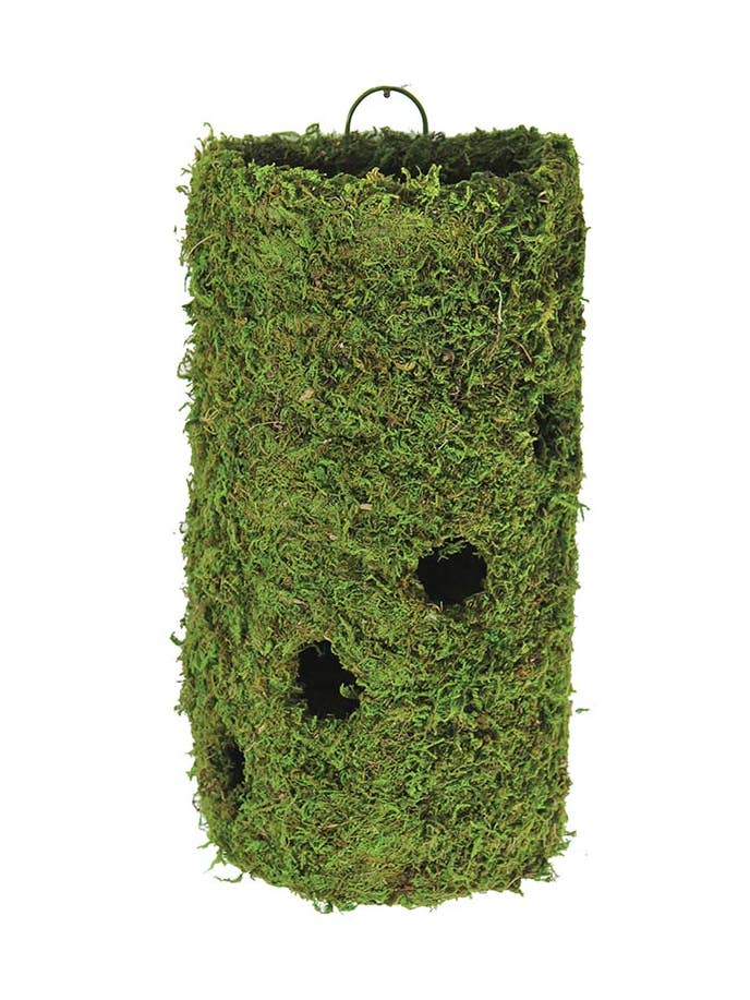 MossWeave Wall Sconce, Spring Green, 8in for wholesale by SuperMoss
