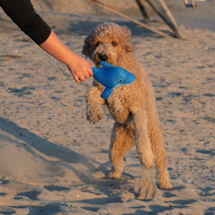Dolphin blu Giocattolo per cani Chill Seeker CoolPals (Blue Dolphin) in vendita all'ingrosso su Faire