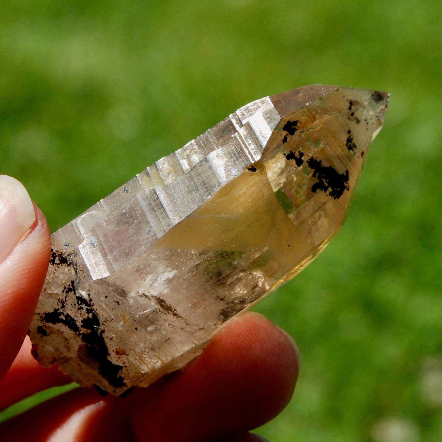 Caspar Curiosities - Wholesale Spiritual Stone/Crystal - 2.3in 45g Intricate Smoky Quartz Crystal Cathedral, Akashic Lines, Malawi msq141