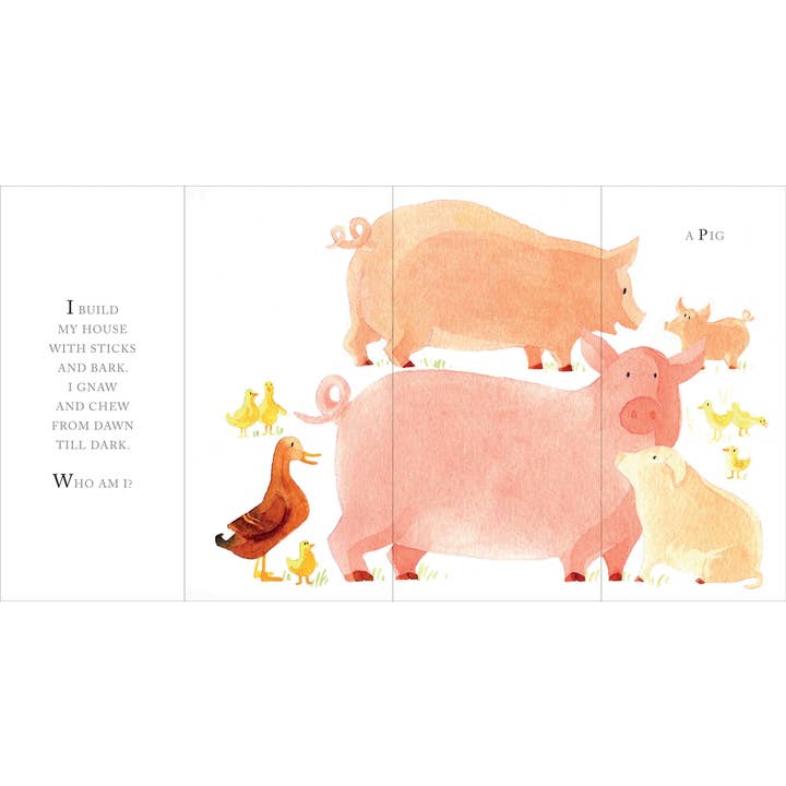 Peter Pauper Press - Wholesale Preschool Book (3-5) - Whose Tail?4