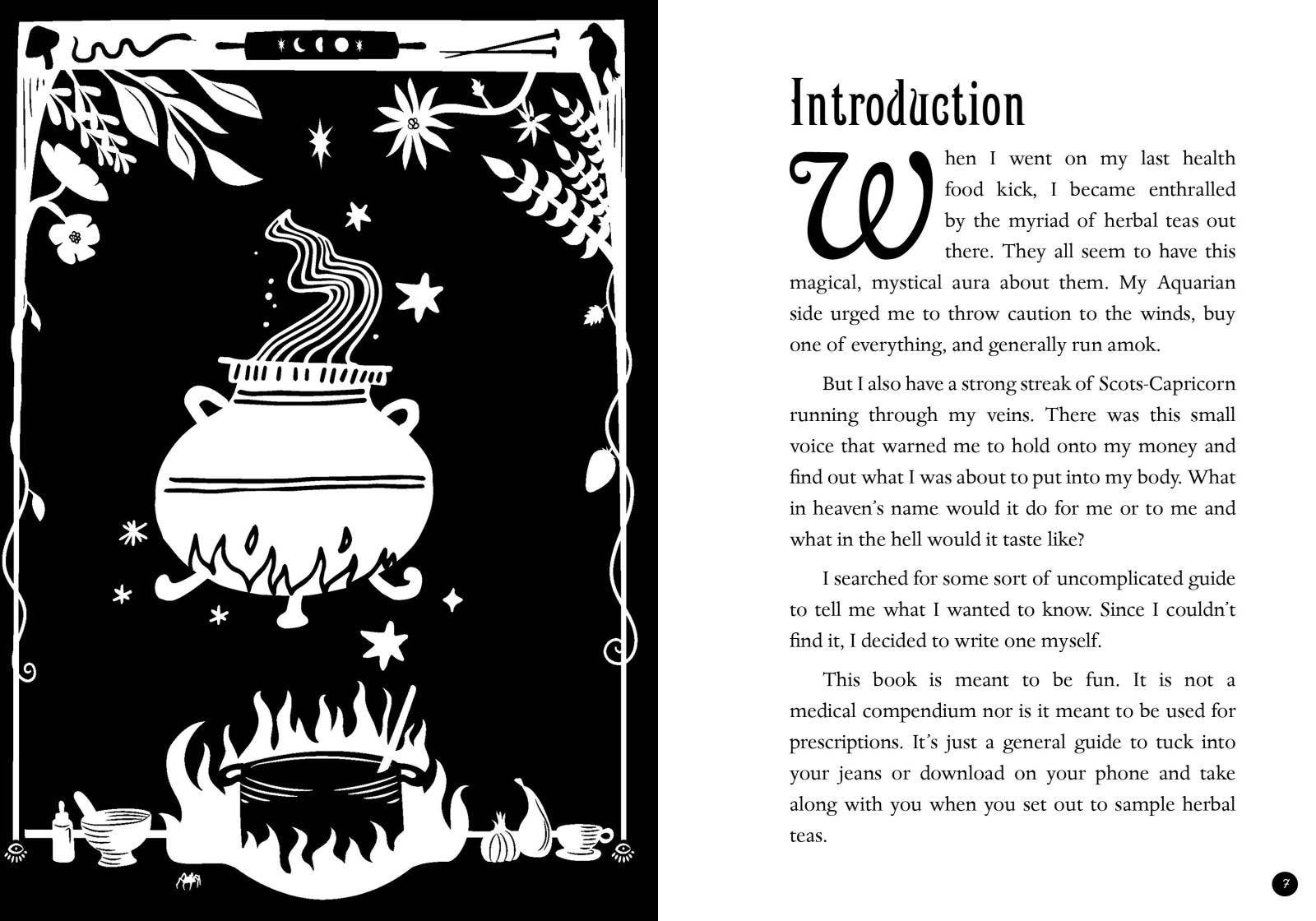 Microcosm Publishing & Distribution - Wholesale Nature & Outdoors Book - Everyday Herbal Teamaking: Health, Fun, and Self-Care Guide8