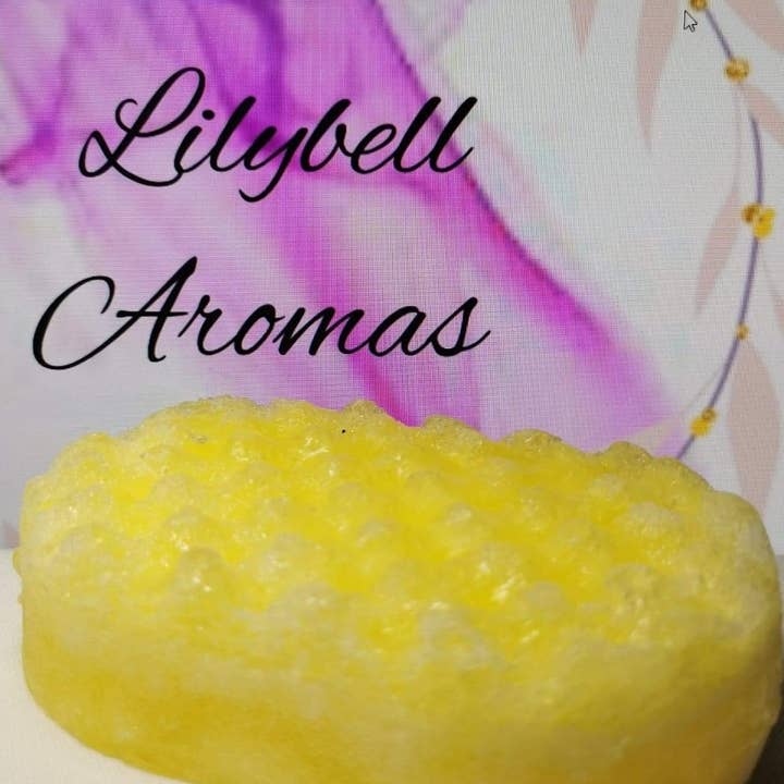 soap sponge for wholesale by Lilybell Aromas