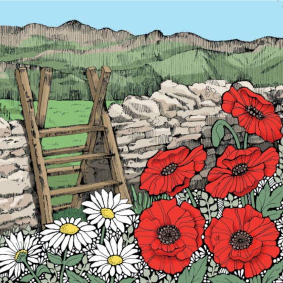 Mountain Stile for wholesale by Alff a Bet Design