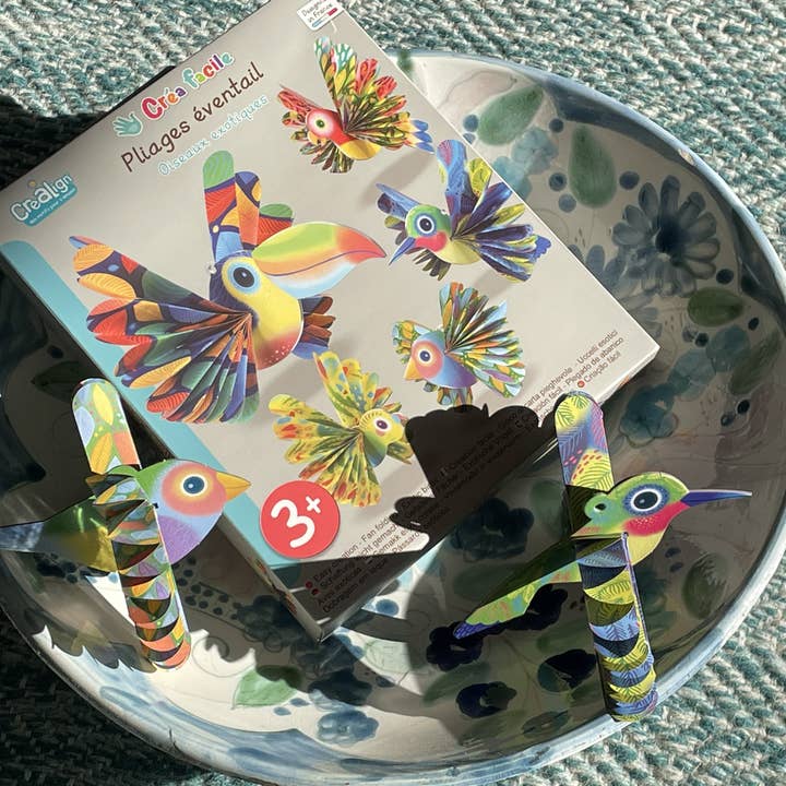 Créa Lign' - Wholesale DIY Craft Kit - Kids - Create Easy, Folding Fans “Exotic Birds”4