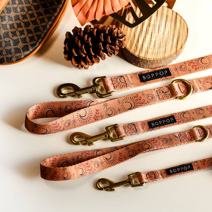 Moonstar Hundeleine für den Großhandel von Bop Pop Pets