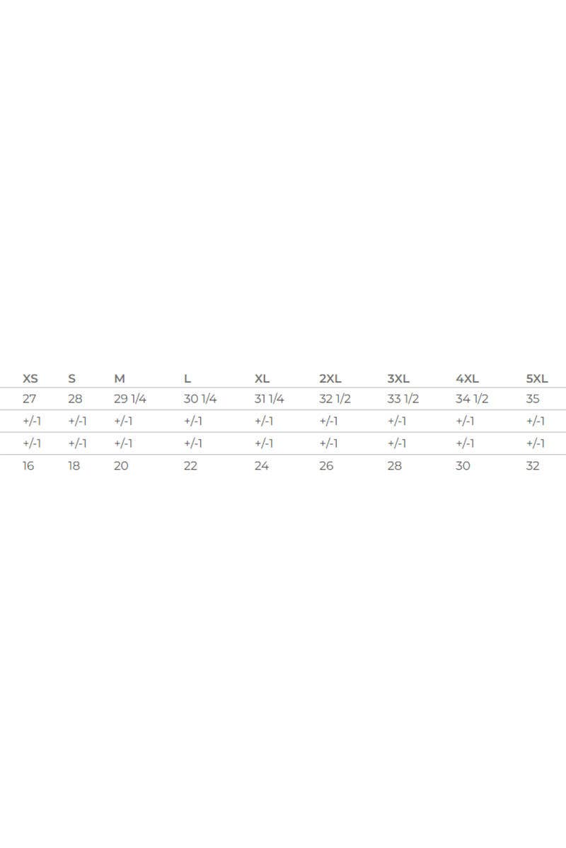 Wholesale Accessory Market - Wholesale Screen Printed T-Shirt - Women's - Bubble Tell You About My Jesus Softstyle Adult T-Shirt10