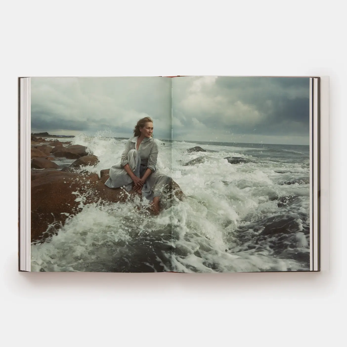 Phaidon - Wholesale Display Book - Annie Leibovitz: Portraits 2005-20166