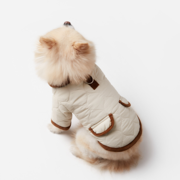 ARISTOPET – wholesale Hundjacka - Hund – Spencer-jacka för husdjur med vaddering och stilren design8