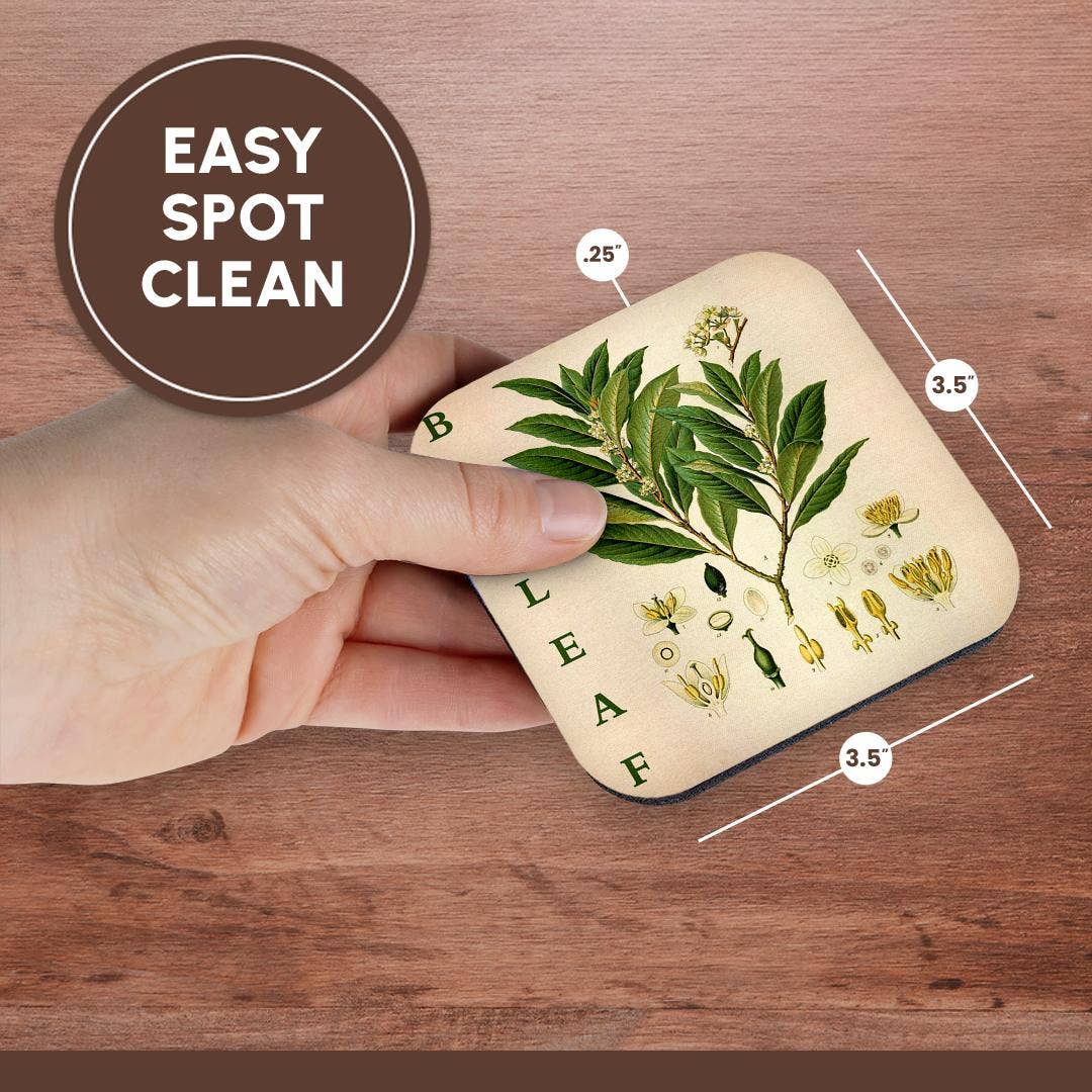 3dRose - Wholesale Coasters - 3dRose, Bay Leaf Kitchen Art - Bay Leaves Tree Herb Plant Print Cooking Gift, Coaster13