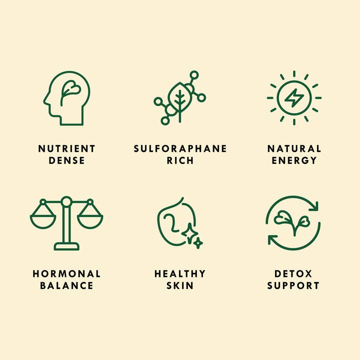 Sproutman - Wholesale Plant seeds - Organic Salad Mix Sprouting Seed2