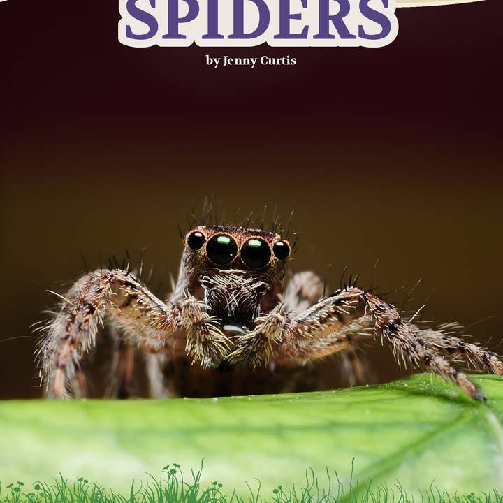 All You Need To Know About Spiders edZOOcation CS Book for wholesale by Wildlife Tree