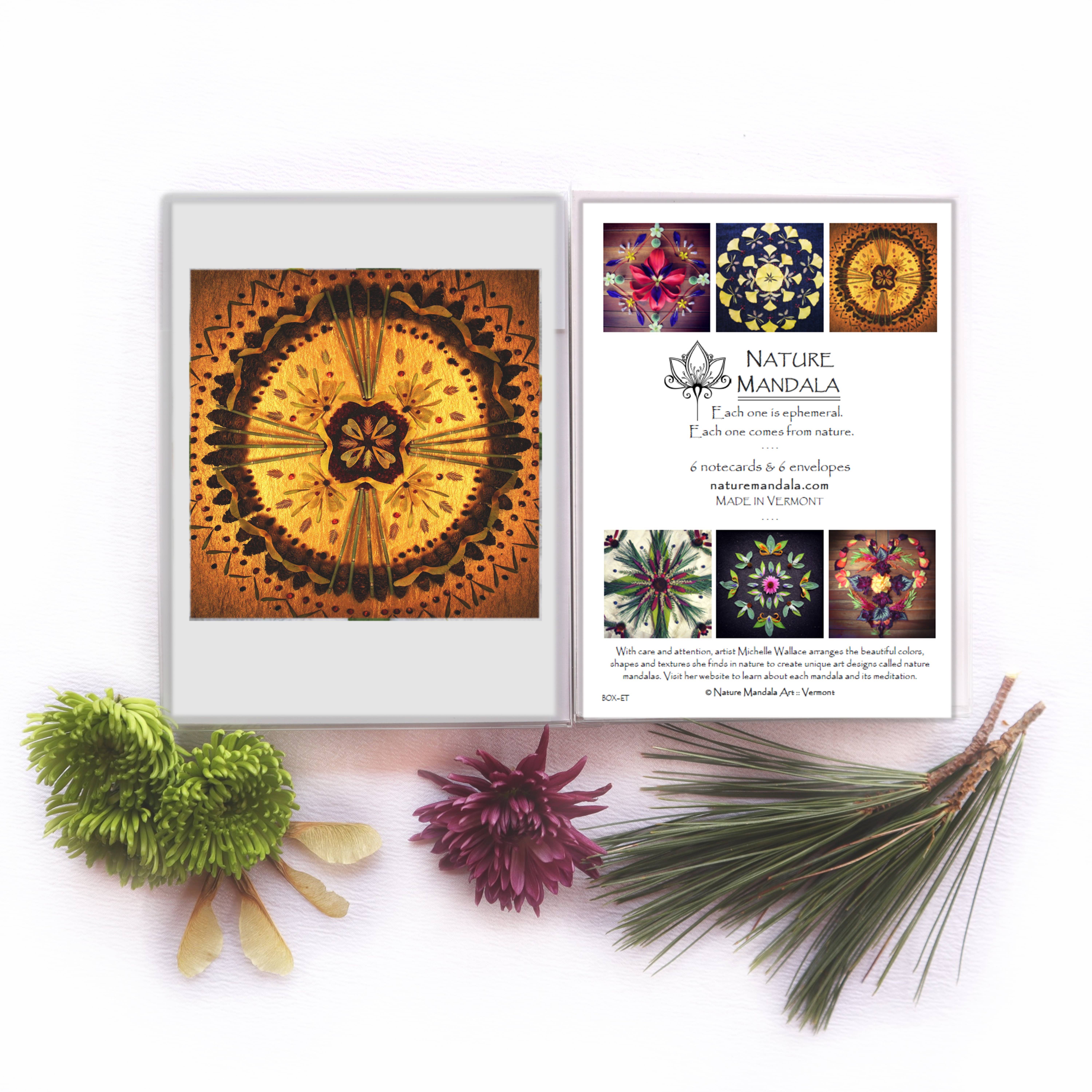 Nature Mandala Art - Wholesale Stationery/Notecard Set - Nature / Flower Mandala Boxed Cards  ::  8 Options3