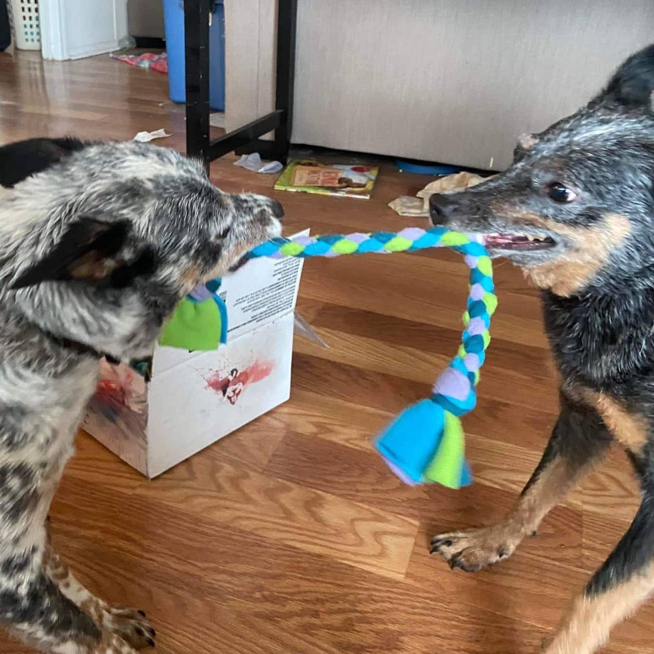 Superb Snuffles - Wholesale Pet Rope Toy - Dog - Braided Tug Toy4