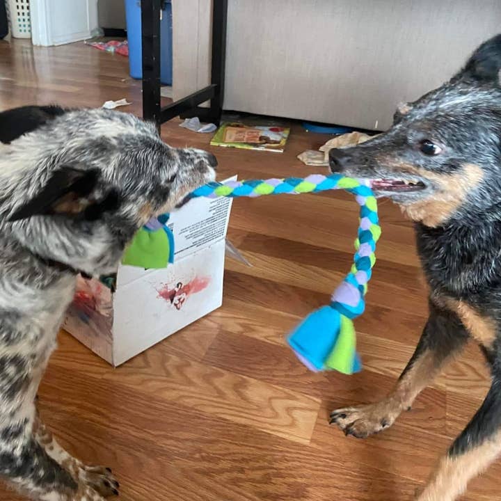 Superb Snuffles - Wholesale Pet Rope Toy - Dog - Braided Tug Toy4