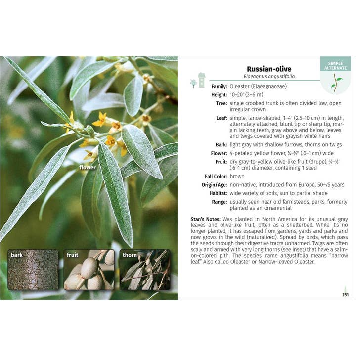 AdventureKEEN - Wholesale Nature Guide - Trees of the Carolinas Field Guide 2e