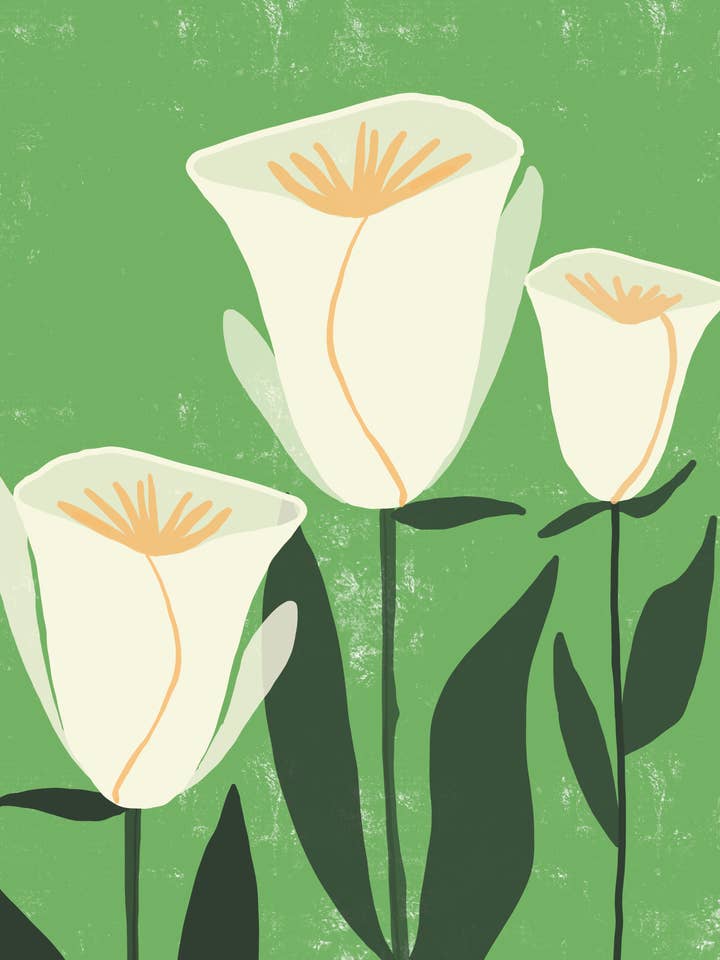 Novena for wholesale by Walker Noble Studios