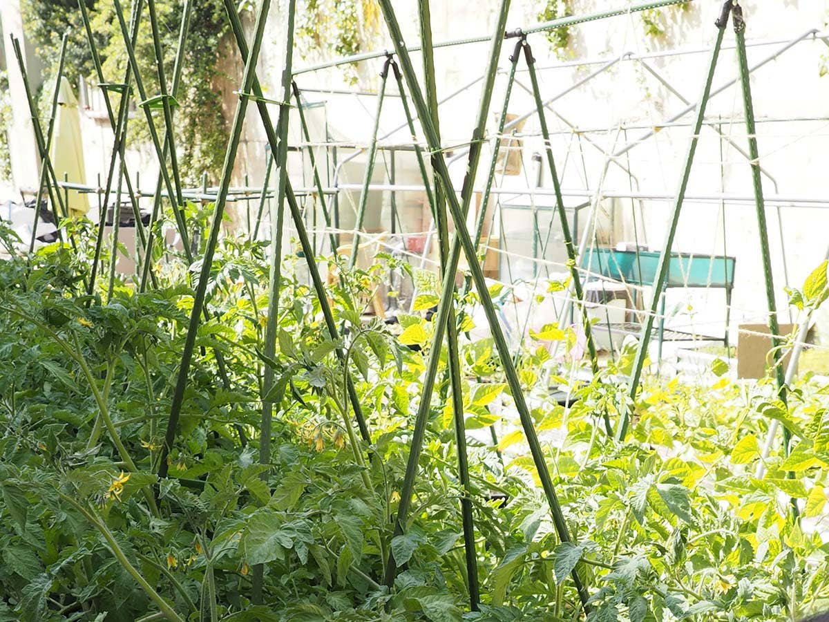 JARDIN Y NATURA OUTDOOR & GARDEN PRODUCTS SL – wholesale Trädgårdsverktyg – Natursnöre i jute 50 meter – YUTIE NATURAL6