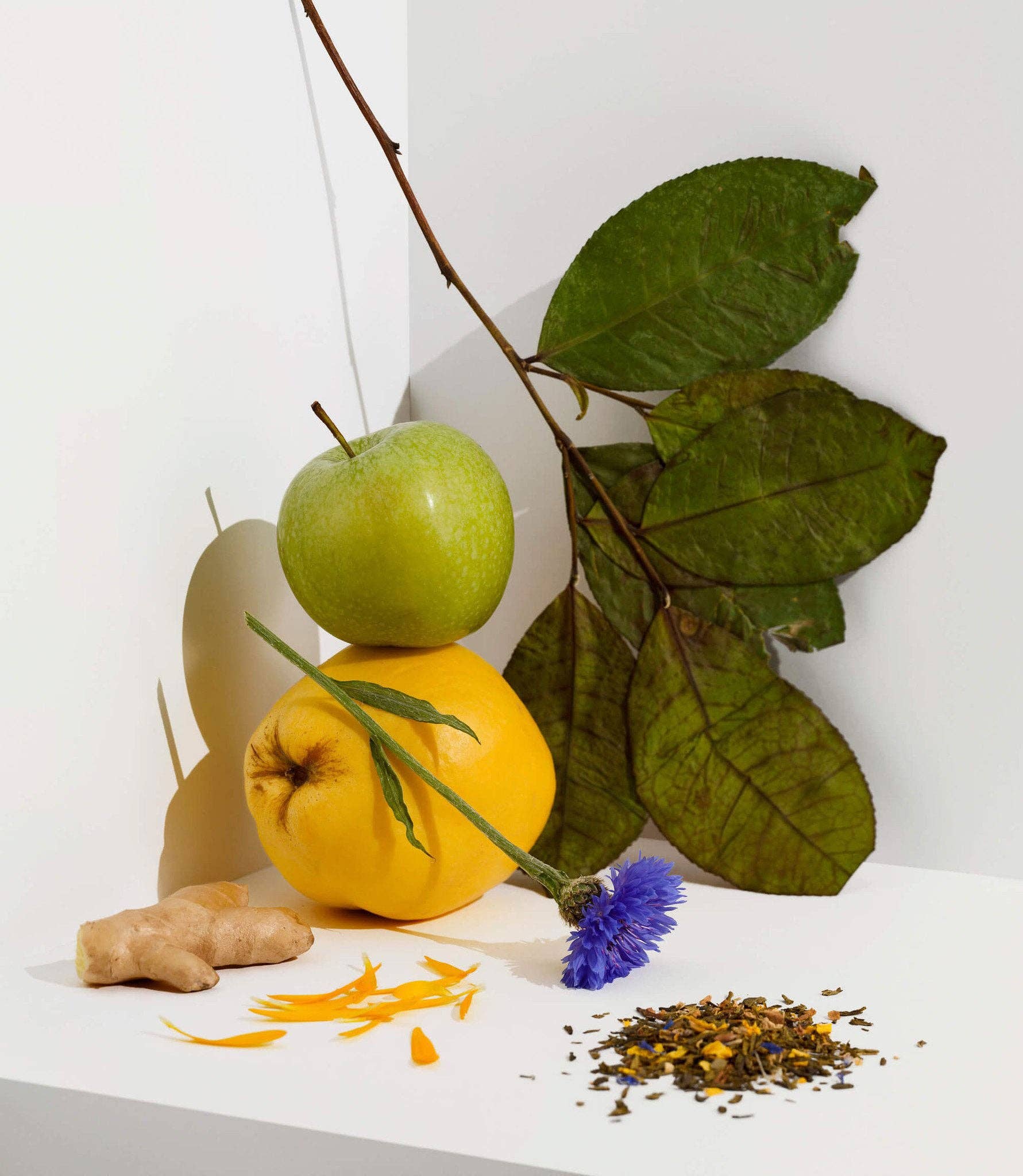 Cocoon Tea Artisans - Vente Thés santé/détox - Thé vert primé au coing1